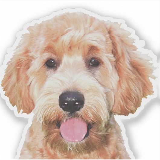 3x3 Sticker en vinyle taillé sur mesure de doodle  (Devant)