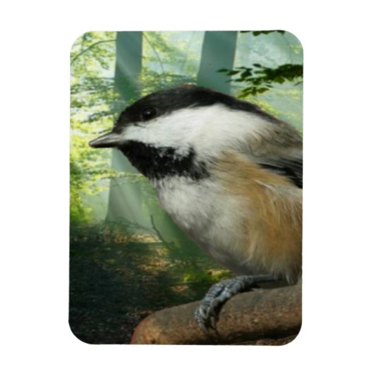 3x4 fotomagneet magneet (Verticaal)