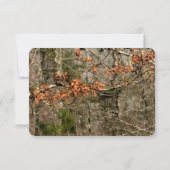 3x5 R.S.V.P. Reply Kaart Hunting Deer Buck Head Ca (Achterkant)