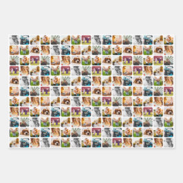 3x Sheets 10 Photo Template Rond Wrapping Paper