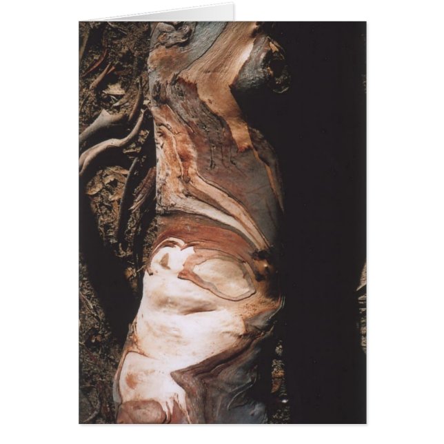 40. Bark Pattern, Californië (Voorkant)