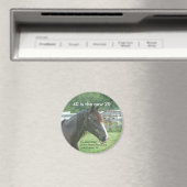 40 is de nieuwe 20 magneet (Insitu (Vaatwasser))