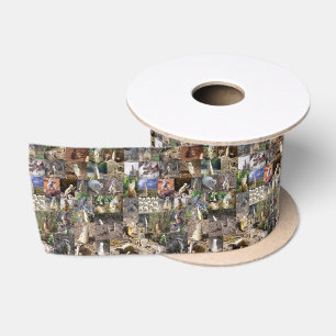 40 Meerkats Photo Collage Lint