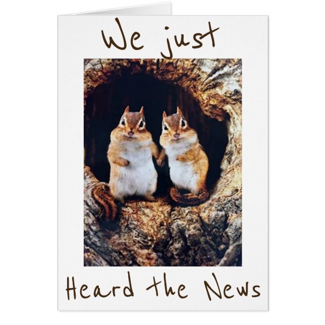 *40* NIET BAD...BE *CHIPPER* ZEGT CHIPMUNKS (Voorkant)