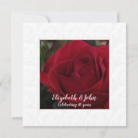 40e robijnen huwelijksjubileum klassieke rode roos