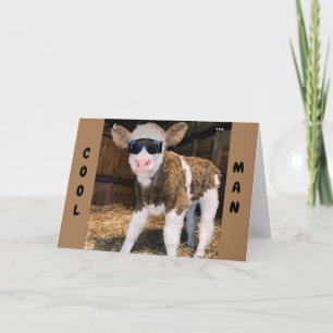 **40E VERJAARDAG** WENS VAN "COOL KOE" KAART