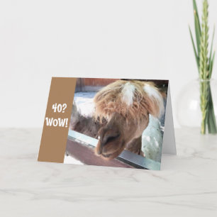 **40ste VERJAARDAG** HEB HET MOEILIJK OM HET TE GE Kaart