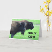 **** 40ste VERJAARDAG*** VAN COMEDIC BUFFALO Kaart (Gele Bloem)