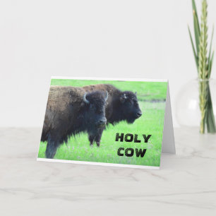 **** 40ste VERJAARDAG*** VAN COMEDIC BUFFALO Kaart