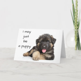 *40ste VERJAARDAG* VAN EEN PUP DIE WEET Kaart