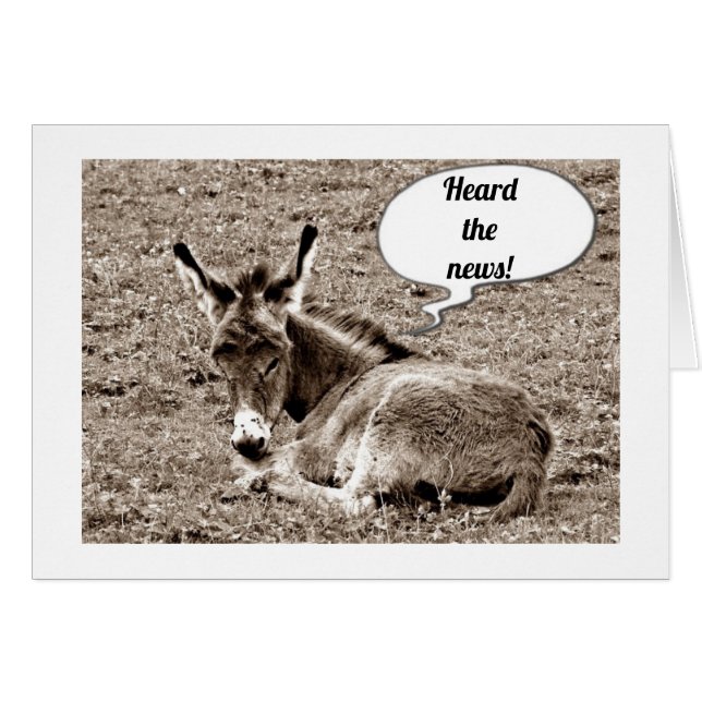 ***40TH** BIRTHDAY ADVICES UIT BABY MULE (Voorkant Horizontaal)