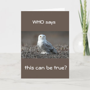 **40th** WIE ZEGT DAT DIT "WAAR IS?" Kaart