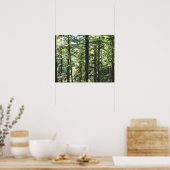 41067 POSTER (Keuken)