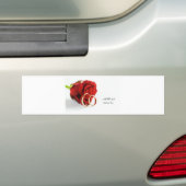 417 BUMPERSTICKER (Op auto)