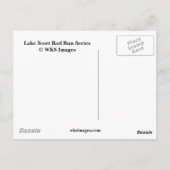 41 Chevy-Lake Scott Rod run Series Briefkaart (Achterkant)