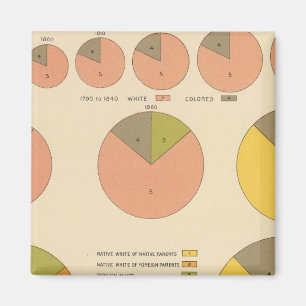 42 Populatie, elementen 1790-1900 Magneet