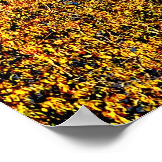 42 X 28 LAKE JUNALUSKA PREMIUM CANVAS GLOSS POSTER (Hoek)