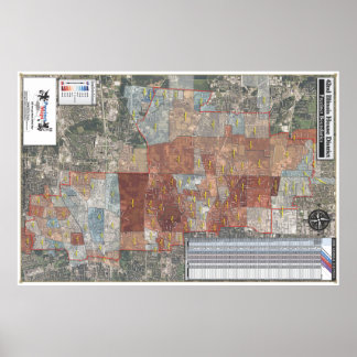 42nd Illinois House District - 2008 General Poster