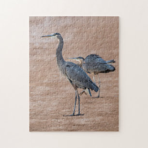 4415 - Twee grote blauwe reigers op Shore Puzzel Legpuzzel