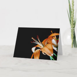 4464 - Close-up van Oranje lelies Bedankkaart