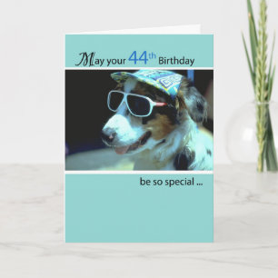 44th Birthday Dog in Funny Sunbril Kaart