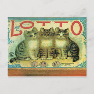 45 huisdieren briefkaart