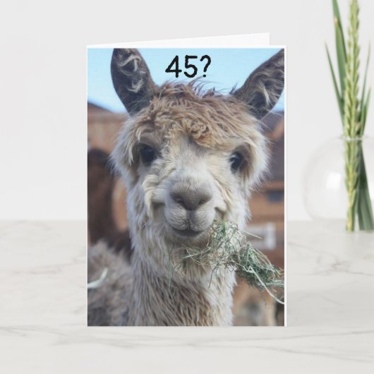 **45** IK KAN NIET GELOVEN DAT HET LLAMA ZEGT KAART (Voorkant)