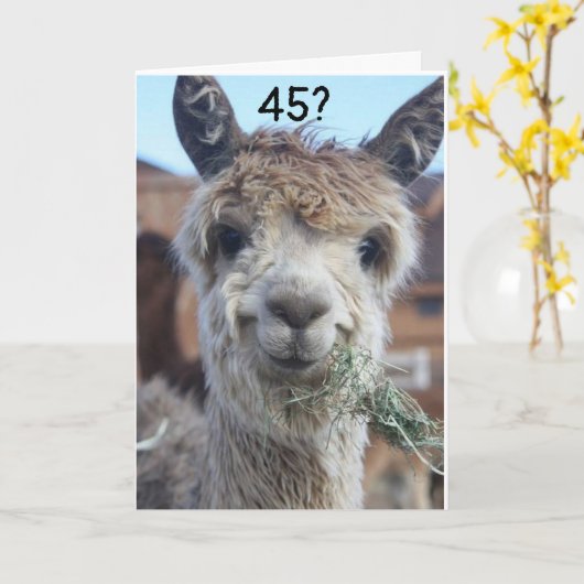 **45** IK KAN NIET GELOVEN DAT HET LLAMA ZEGT KAART (Gele Bloem)