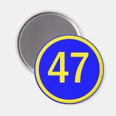 47 in een cirkel magneet (Voorkant / Achterkant)