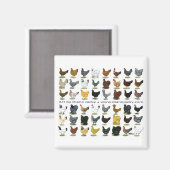 48-Hen Promo Magneet (Voorkant / Achterkant)