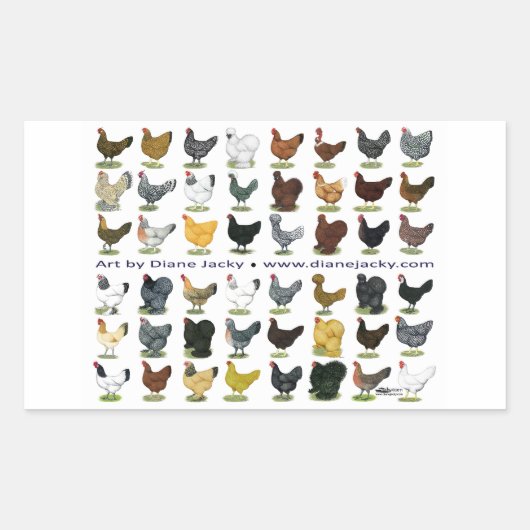 48-Hen Promo Rechthoekige Sticker (Voorkant)