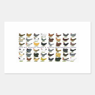 48-Hen Promo Rechthoekige Sticker