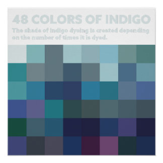 48COLORS OF INDIGO PERFECT POSTER