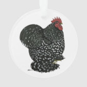 49 Coq (dos)