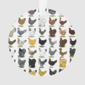 49 poules de poulet (devant)