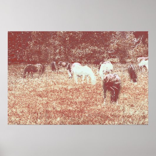 49 quater poster (Voorkant)