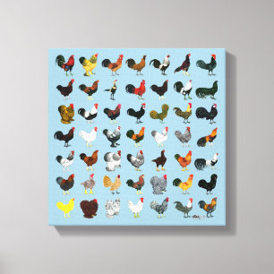 49 Roosters Canvas Afdruk