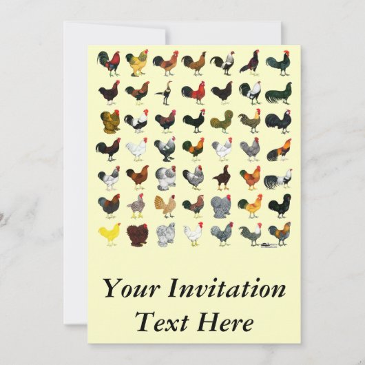 49 Roosters Kaart (Voorkant)