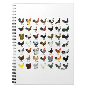 49 Roosters Notitieboek