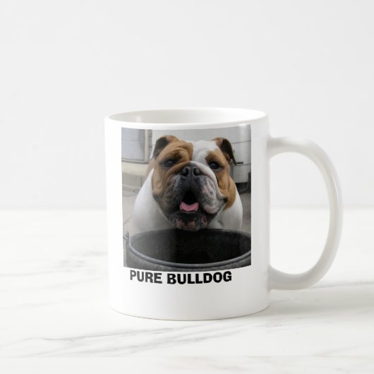 4-11-06 043, PURE BULLDOG KOFFIEMOK (Rechts)