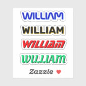 4 Aangepaste Naam Hard Pet Stickers voor elektrici (Vel)