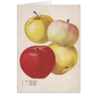 4 appels, geïllustreerd kaart