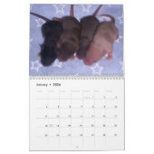 4 Baby muizen opgroeien Kalender (Jan 2026)
