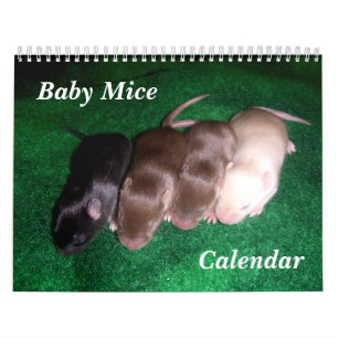 4 Baby muizen opgroeien Kalender