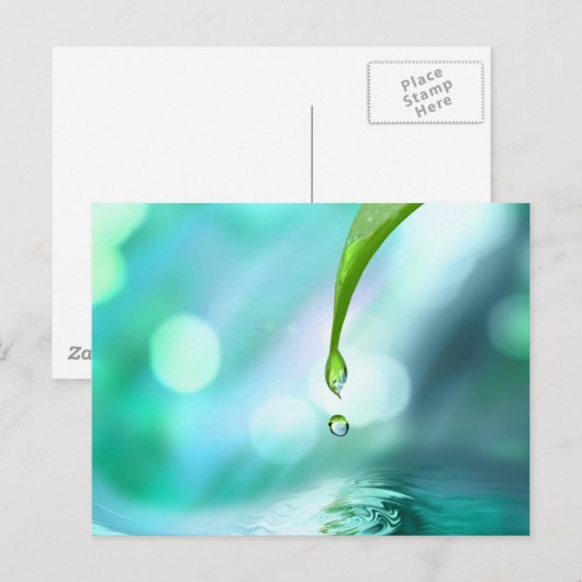 4 BRIEFKAART (Voorkant / Achterkant)