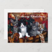 4 Chats Joyeux Noël Carte postale (Devant / Derrière)