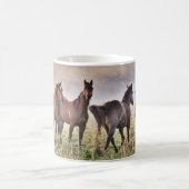 4 Chevaux dans la fosse - MUG (Centre)