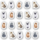 4 Cute Cats 20 Stickers (Devant)