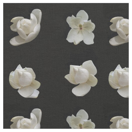 4 différentes fleurs de Magnolia sur tissu noir (Fermer)