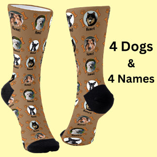 4 Dog-foto's & 4 namen + Botten en verfafdrukken B Sokken